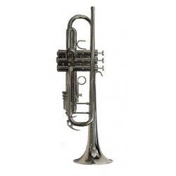 Trompeta Doble Poste Sib Silvertone (TR-400) Varios Colores - Envío Gratuito