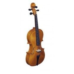 Violin Strunal Stradivarius 4/4 Washed con Arco y Estuche (193WA C) - Envío Gratuito