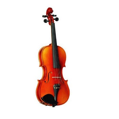 Violin Strunal Stradivarius 4/4 con Arco y Estuche (160B) - Envío Gratuito