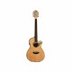 Guitarra Electroacustica LUNA GUITARRA ELECTROACUSTICA LUNA FAUNA HUMMINGBIRD NAT MOD. FAU HUM  8202884 - Envío Gratuito