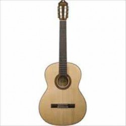 Guitarra Acústica WASHBURN GUITARRA WASHBURN CLASICA WC750SW ISWASWC750SW - Envío Gratuito